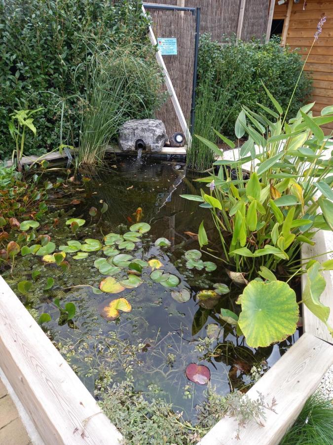 Appartement 3 Eme Etage Avec Piscine Partagee Sedan Luaran gambar